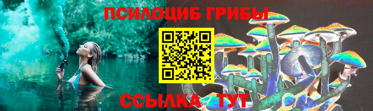Дедовск  Галлюциногенные грибы мухоморы  Вход с VPN  Галлюциногенные грибы Psilocybine cubensis 
